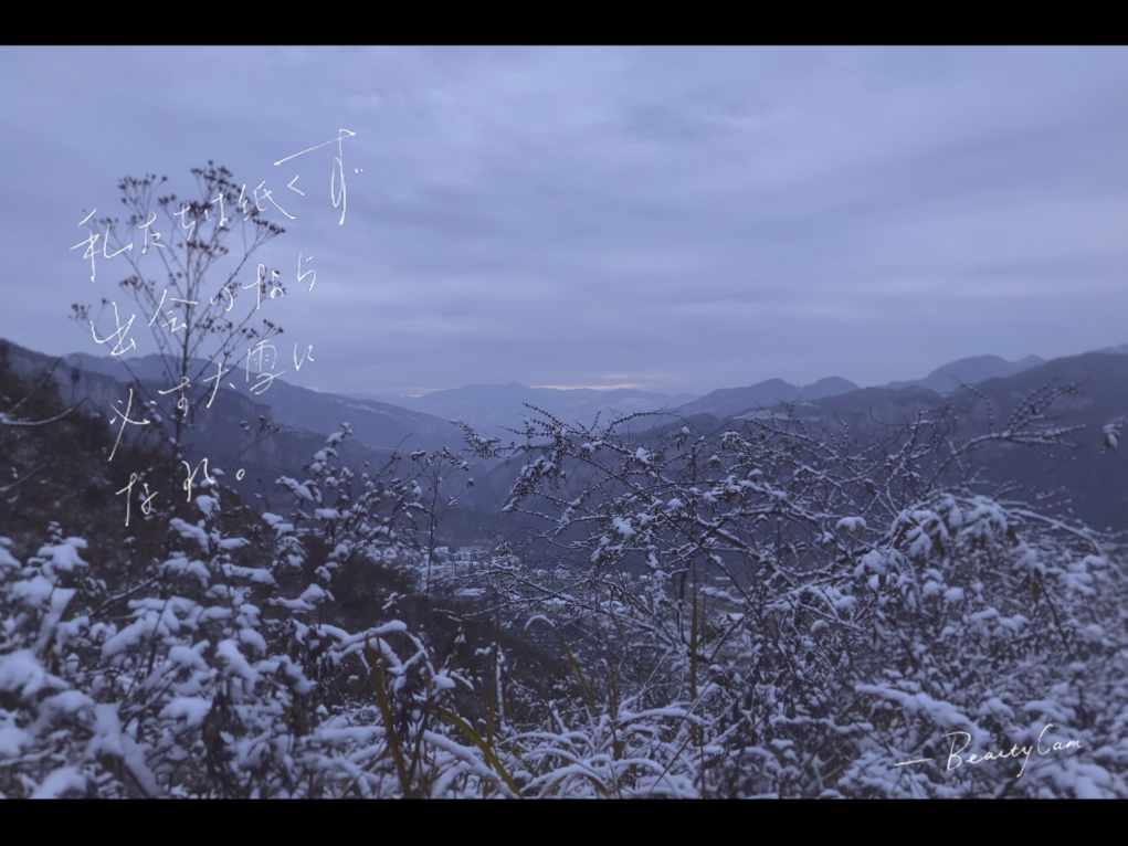 驱是什么意思?-专注分享知识与经验